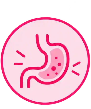 Supports Digestion